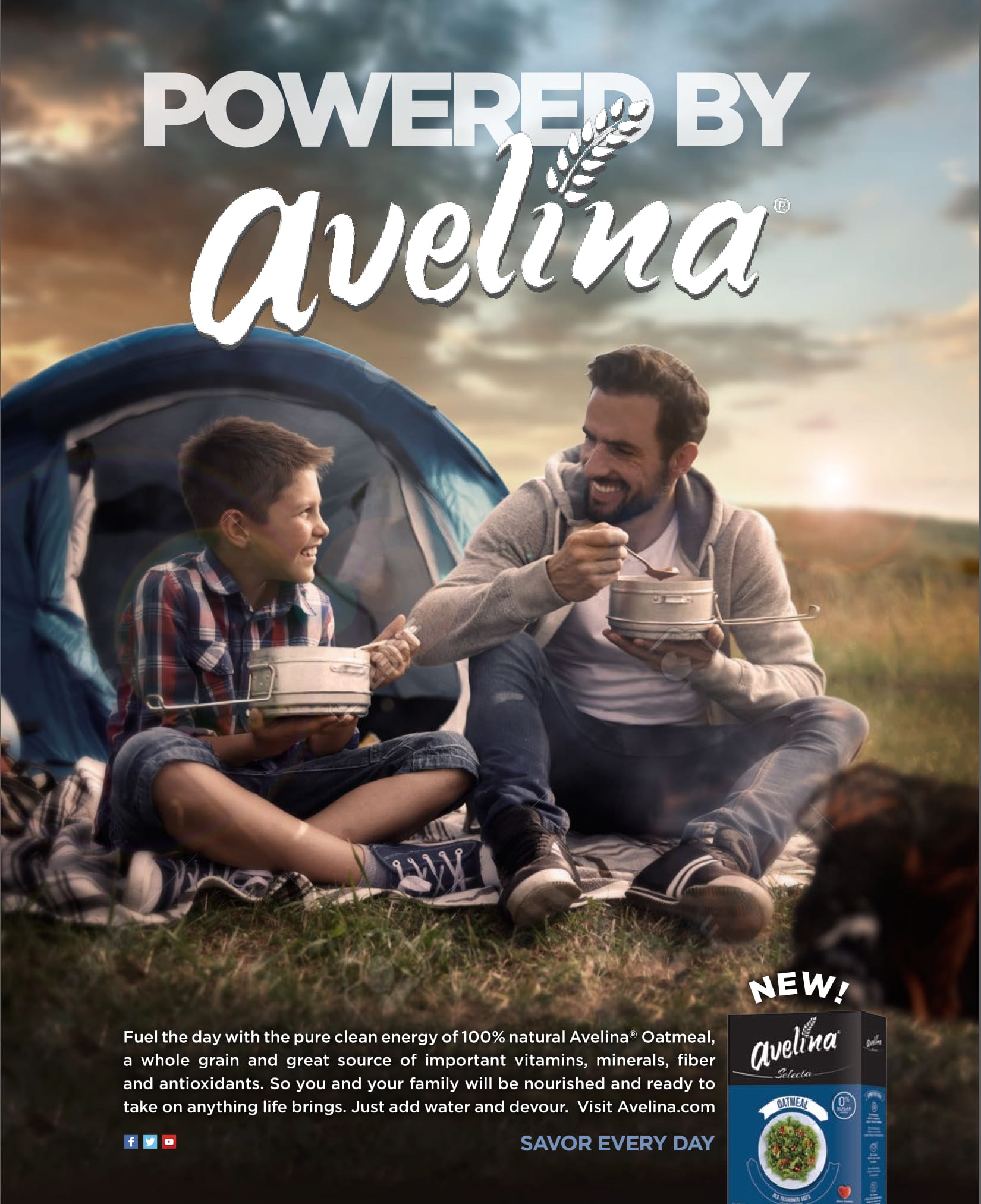Avelina-Creative-Print-Ads-11-2-17-01